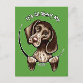 Pointer IAAM Postkarte (Vorderseite)