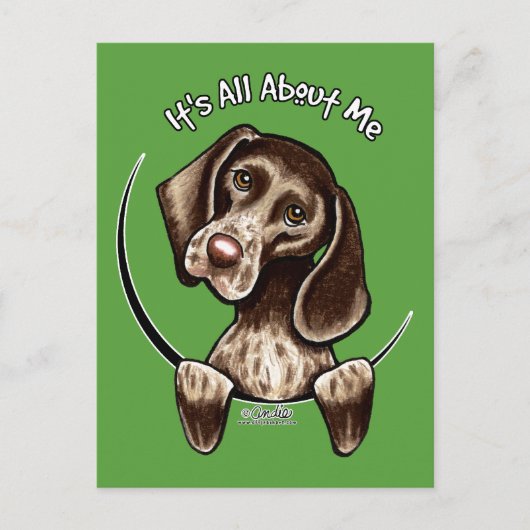 Pointer IAAM Postkarte (Vorderseite)