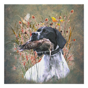 Pointer, Jagdwald Poster