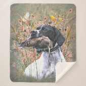 Pointer, Jagdwald Sherpadecke (Vorderseite)