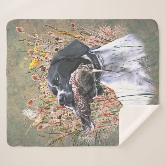 Pointer, Jagdwald Sherpadecke (Vorderseite (Horizontal))