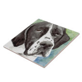 Pointer-Kunstfliesen Fliese (Seite)