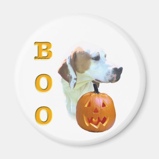 Pointer (Lemon Coated) Boo Magnet (Vorne)