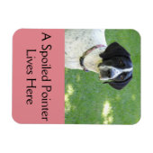 Pointer Liebe Magnet (Horizontal)