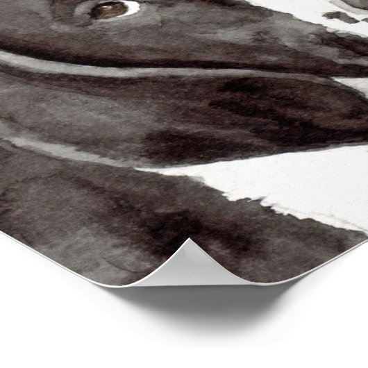 Pointer Poster (Ecke)