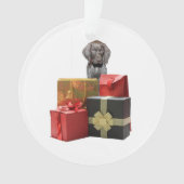 Pointer Puppy Christmas Gifts Ornament (Vorderseite)