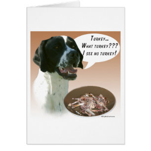 Pointer (schwarz) Türkei