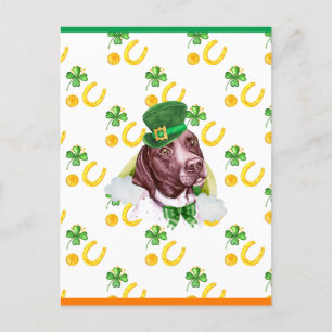 Pointer Shamrock St. Patricks Day Feiertagspostkarte