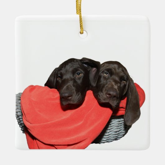Pointer Sisters in einem Korb Keramikornament (Vorderseite)