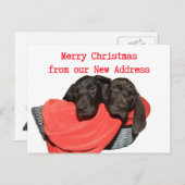Pointer Sisters New Address Christmas Postkarte (Vorne/Hinten)