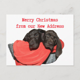 Pointer Sisters New Address Christmas Postkarte