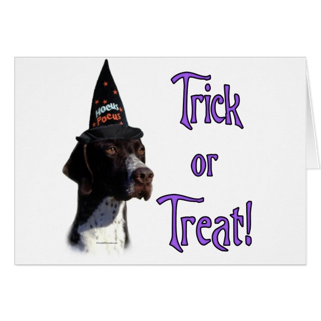 Pointer Trick (Vorderseite (Horizontal))