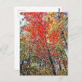 Pointillismus Postkarte (Vorne/Hinten)