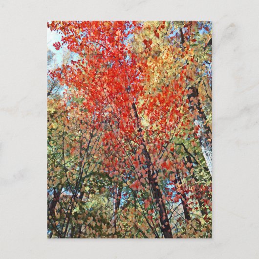 Pointillismus Postkarte (Vorderseite)