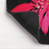 Pointsettia 3 mousepad (Ecke)