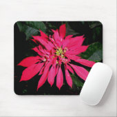 Pointsettia 3 mousepad (Mit Mouse)