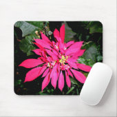 Pointsettia 5 mousepad (Mit Mouse)