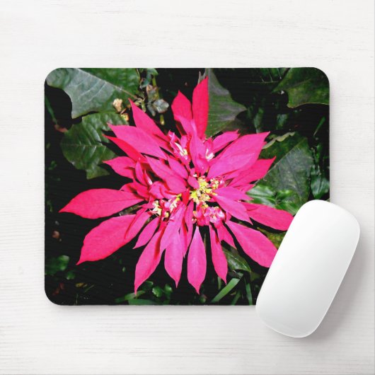 Pointsettia 5 mousepad (Mit Mouse)