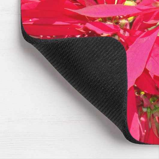 Pointsettias in San Diego Mousepad (Ecke)