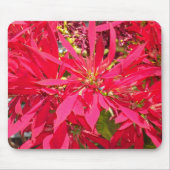 Pointsettias in San Diego Mousepad (Vorne)