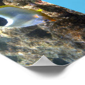 Poipu Fish Poster (Ecke)