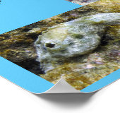 Poipu Schnorkeling Poster (Ecke)