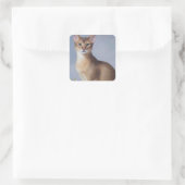 Poised Abyssinian – Elegant Cat Sticker (Tasche)