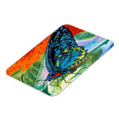 Poised Butterfly II Magnet (Linke Seite)