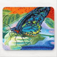Poised Butterfly II