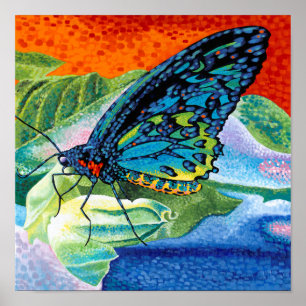 Poised Butterfly II Poster