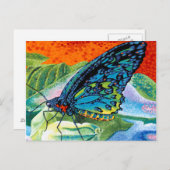 Poised Butterfly II Postkarte (Vorne/Hinten)