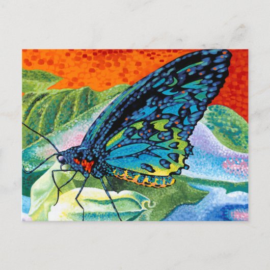 Poised Butterfly II Postkarte (Vorderseite)