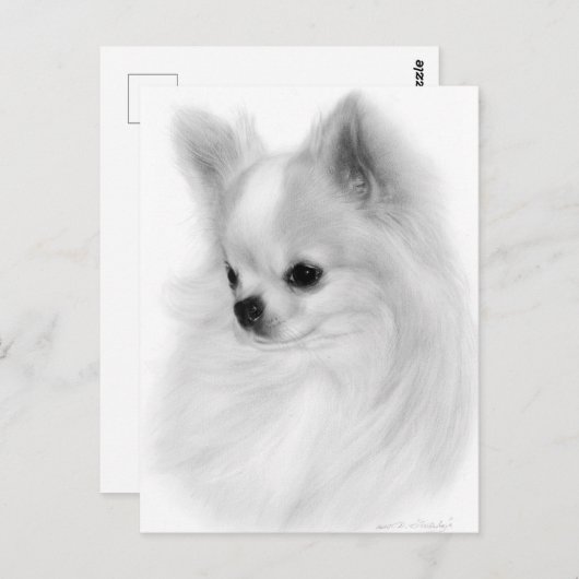 Poised Chihuahua Hand bemalt Portrait Postkarte (Vorne/Hinten)