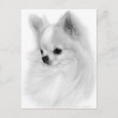 Poised Chihuahua Hand bemalt Portrait Postkarte (Vorderseite)