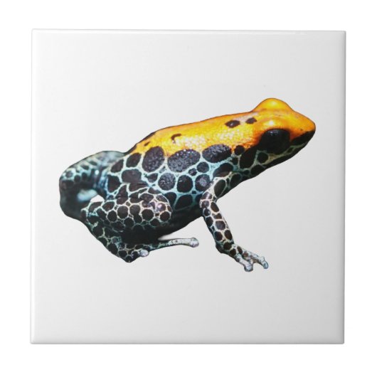 Poison Dart Frog Fliese (Vorderseite)