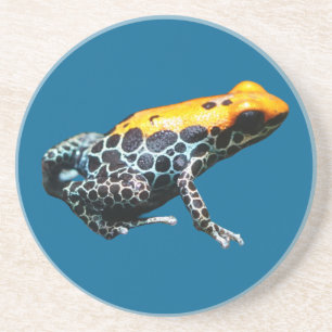 Poison Dart Frog Getränkeuntersetzer