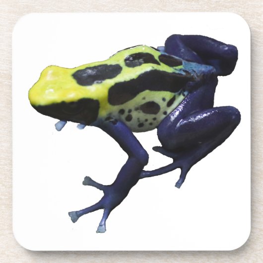 Poison Dart Frog Getränkeuntersetzer (Vorderseite)