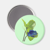 Poison Dart Frog Magnet (Vorderseite/Rückseite)