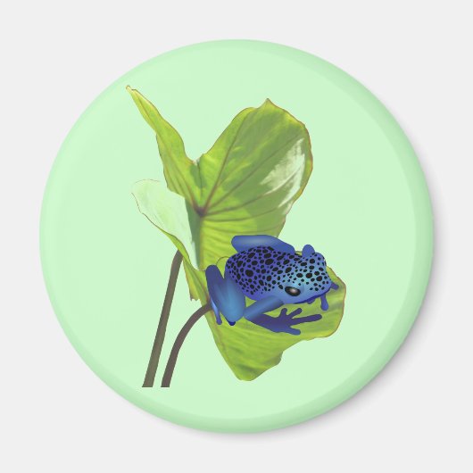 Poison Dart Frog Magnet (Vorne)