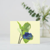 Poison Dart Frog Postkarte (Stehend Vorderseite)