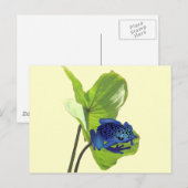 Poison Dart Frog Postkarte (Vorne/Hinten)