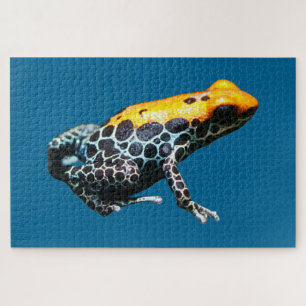 Poison Dart Frog Puzzle