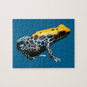 Poison Dart Frog Puzzle