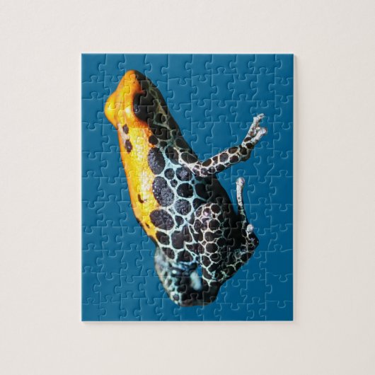 Poison Dart Frog Puzzle (Vertikal)