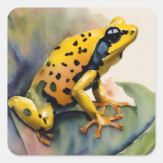 Poison Dart Yellow Frosch Wasserfarbe Quadratischer Aufkleber (Vorderseite)