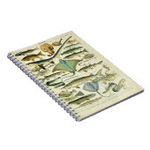 Poissons Vintag Illustration Notizblock (Rechte Seite)