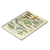 Poissons Vintag Illustration Notizblock (Linke Seite)