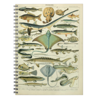 Poissons Vintage-Illustration Notizblock