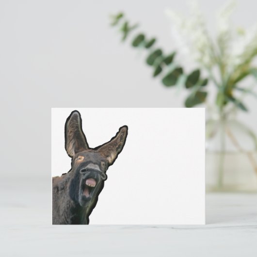 Poitou-Esel Postkarte (Stehend Vorderseite)