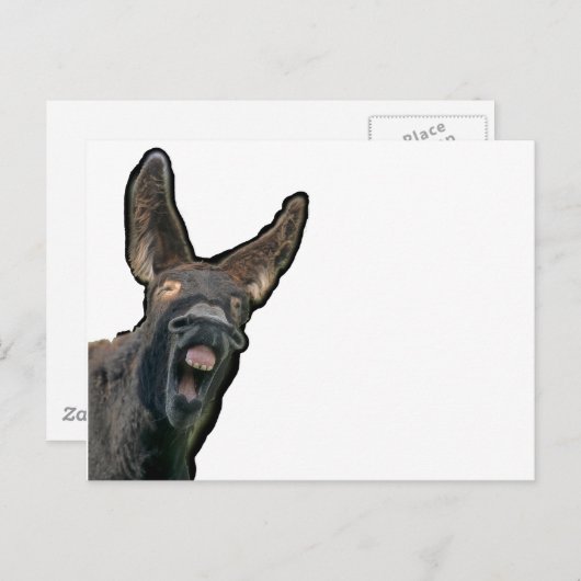 Poitou-Esel Postkarte (Vorne/Hinten)